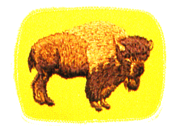 Buffalo Patrol crest