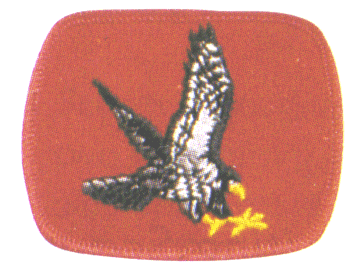 Falcon Patrol crest