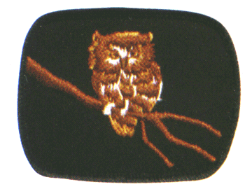 Owl Patrol crest
