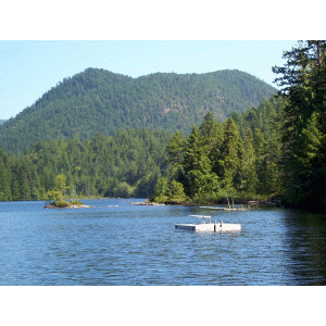 Image of Camp Burley