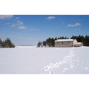 Image of Malagash Scout Camp