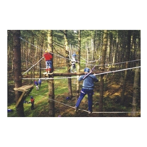 Image of Woodland Trails Scout Camp